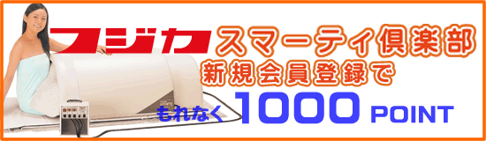 Ͽ1000ݥȥץ쥼